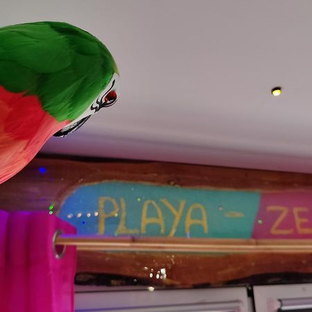 Wonder Room Paraiso Magico Habitacion ネルハ エクステリア 写真